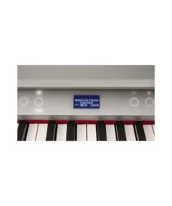 ROLAND GP-6 PE