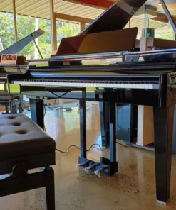 ROLAND GP-6 PE
