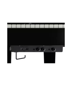 ROLAND GP-6 PE