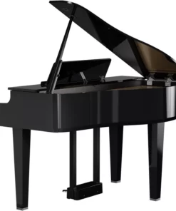 ROLAND GP-6 PE