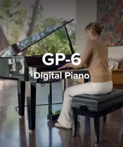 ROLAND GP-6 PE