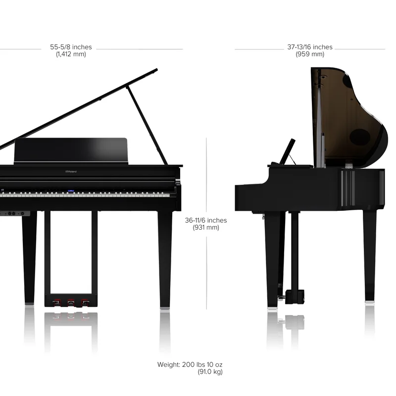 ROLAND GP-6 PW
