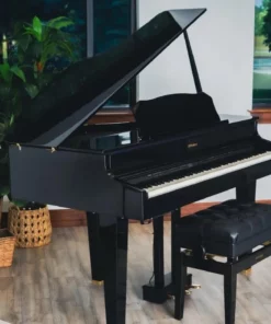 ROLAND GP-607 PE (USED)
