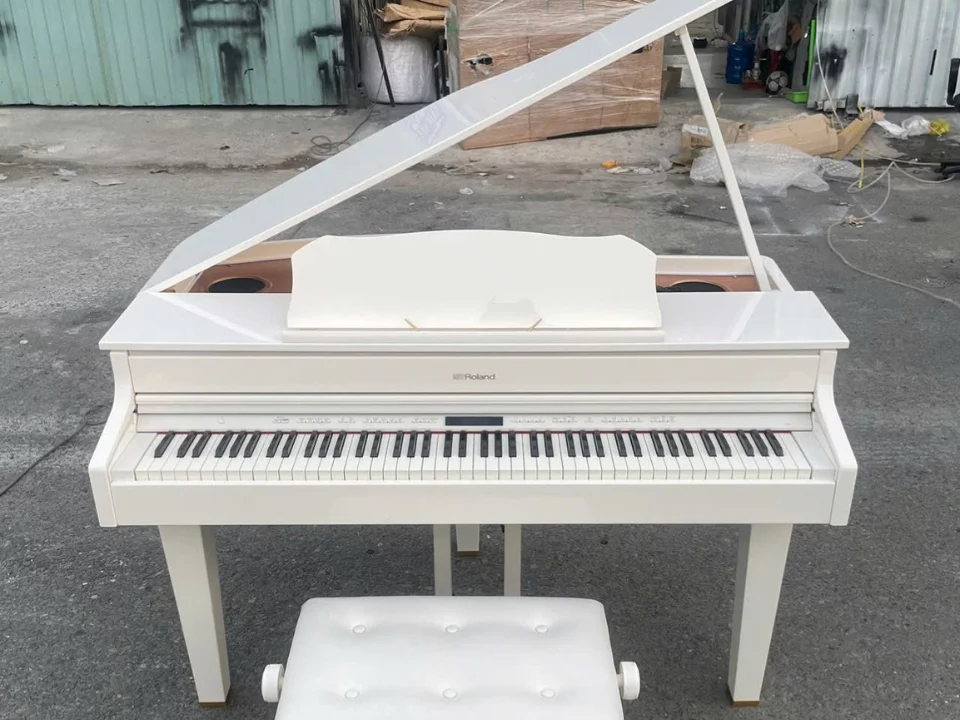ROLAND GP-607 PW (USED)