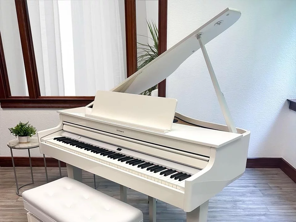 ROLAND GP-607 PW (USED)