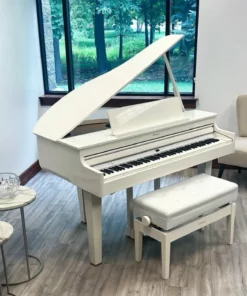 ROLAND GP-607 PW