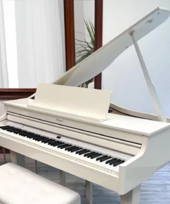 ROLAND GP-607 PW