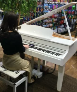 ROLAND GP-607 PW