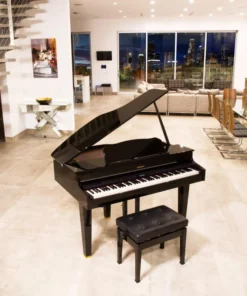 ROLAND GP-607 PW