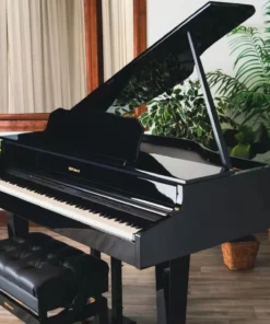 ROLAND GP-607 PE