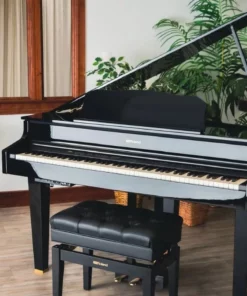 ROLAND GP-607 PE