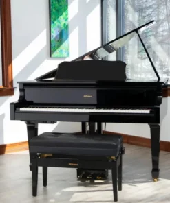 Roland GP-609 PE (USED)
