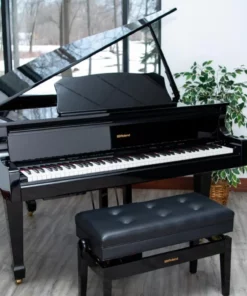 Roland GP-609 PE (USED)