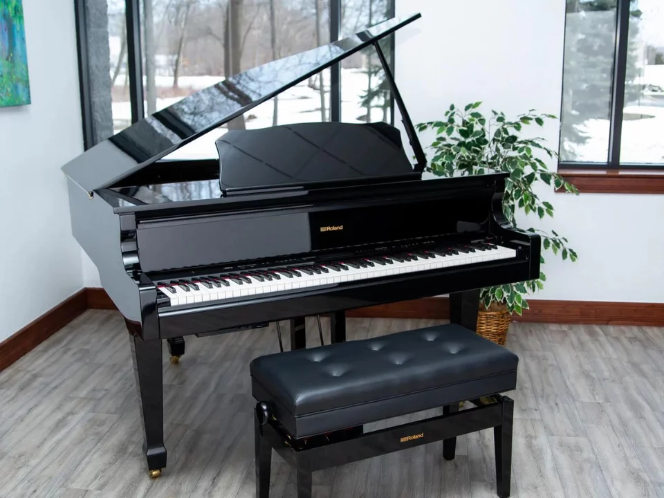 Roland GP-609 PE (USED)