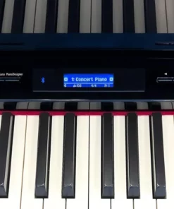 Roland GP-609 PE (USED)
