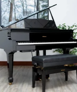 Roland GP-609 PE (USED)