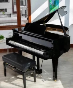 Roland GP-609 PE (USED)