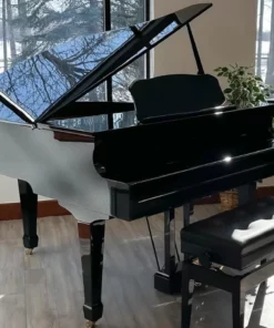 Roland GP-609