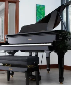Roland GP-609
