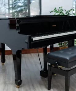 Roland GP-609