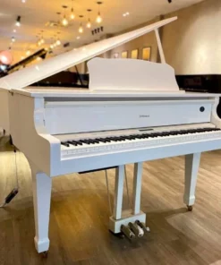 Roland GP-609 PW (USED)