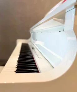 Roland GP-609 PW (USED)