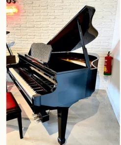 Roland GP-609 PW (USED)