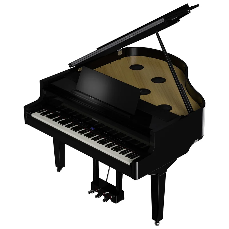 ROLAND GP-9 PE (USED)
