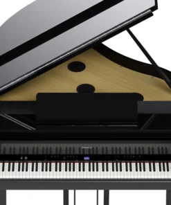 ROLAND GP-9 PE (USED)