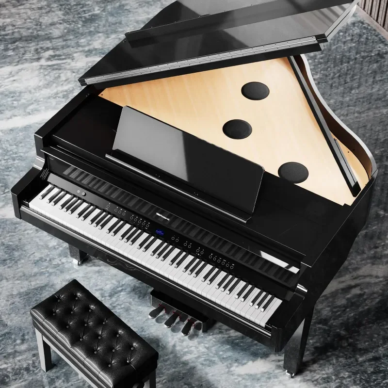 ROLAND GP-9 PE (USED)