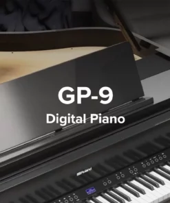 ROLAND GP-9 PE (USED)