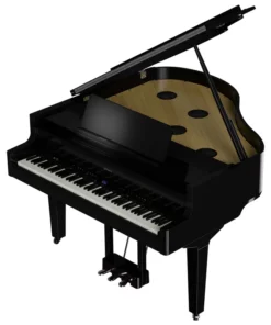 ROLAND GP-9 PE