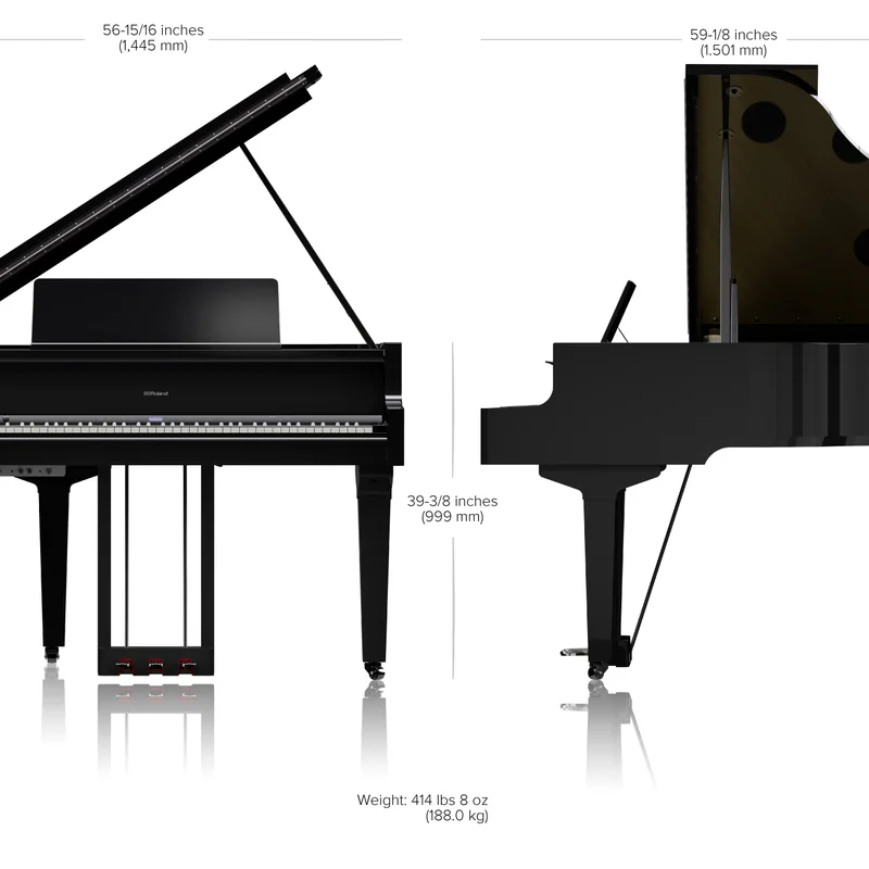 ROLAND GP-9M PE