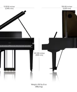 ROLAND GP-9M PE