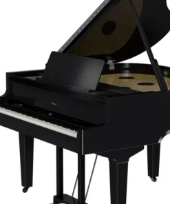 ROLAND GP-9M PE