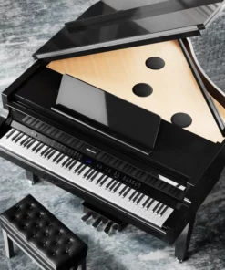 ROLAND GP-9M PE