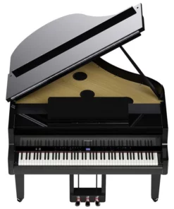ROLAND GP-9M PE
