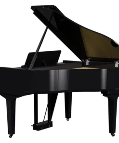 ROLAND GP-9M PE