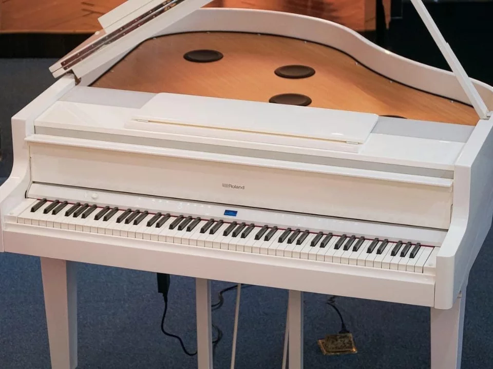 ROLAND GP-9M PW