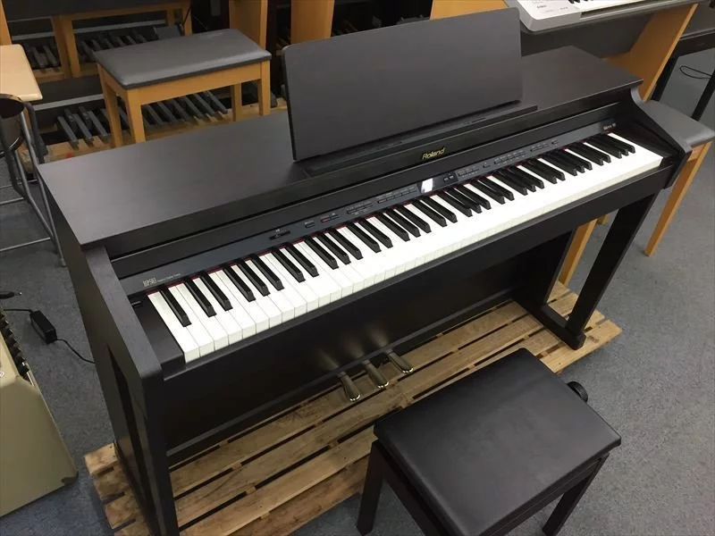 ROLAND HP-503 RW