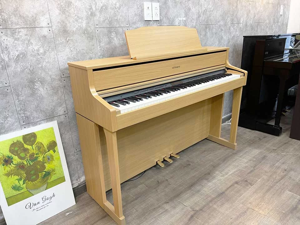 ROLAND HP-605 LW
