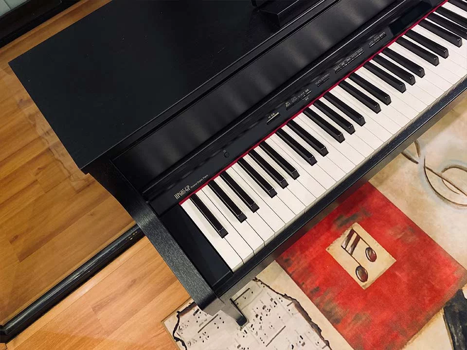 ROLAND HP-605GP SB