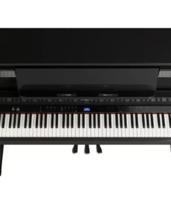 ROLAND LX-9 PE
