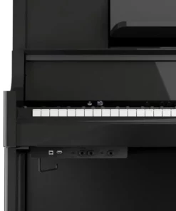 ROLAND LX-9 PE