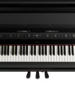 ROLAND LX-9 PE