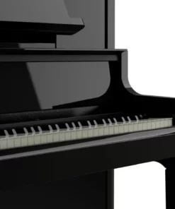 ROLAND LX-9 PE