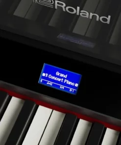 ROLAND LX-9 PE