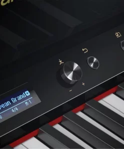 ROLAND LX-10 BK
