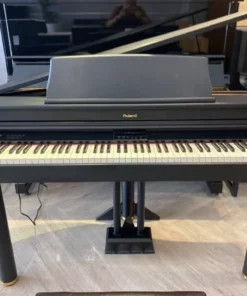Roland RG-1