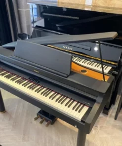 Roland RG-1